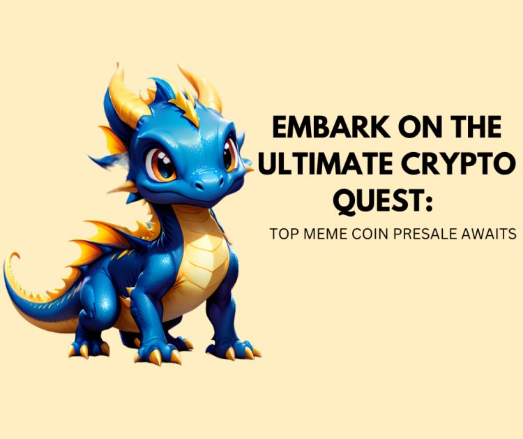Invest in $DDGN Coin Presale: Where Meme Coins Meet Gaming Innovation