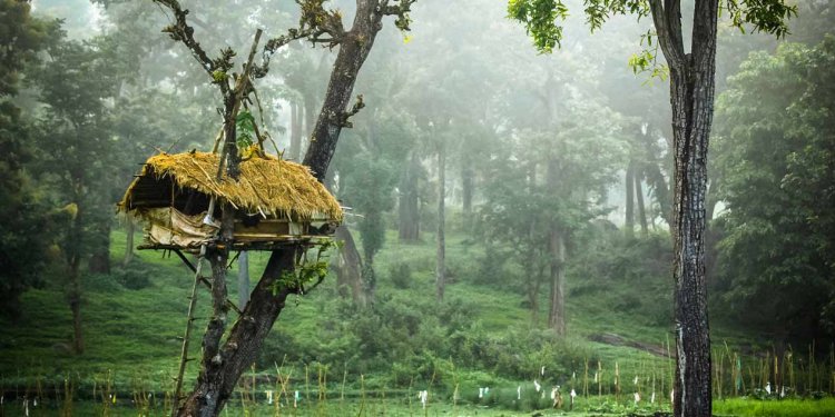 Explore Wayanad with Customized Tour Packages Today