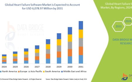 Heart Failure Software Market Overview: Trends, Challenges, and Forecast 2024 –2031