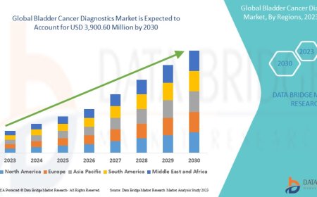 Global Bladder Cancer Diagnostics Market Scope: Growth, Share, Value, Size, and Analysis