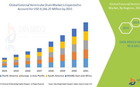 External Ventricular Drain Market: Insights, Key Players, and Growth Analysis 2024 –2031