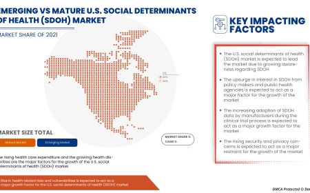 U.S. Social Determinants of Health (SDOH) Market Value Analysis and Current Status 2030
