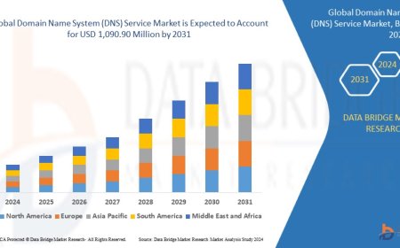 Domain Name System (DNS) Service Market Overview: Trends, Challenges, and Forecast 2024 –2031