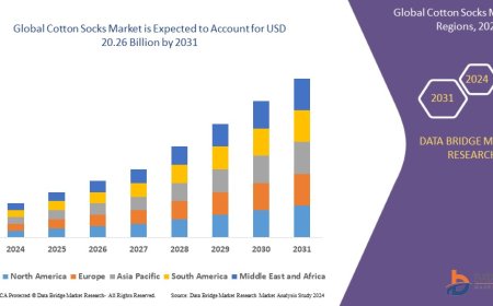 Cotton Socks Market Overview: Trends, Challenges, and Forecast 2024 –2031
