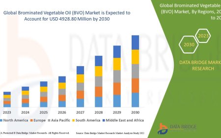 Brominated Vegetable Oil (BVO) Market Overview: Trends, Challenges, and Forecast 2024 –2031