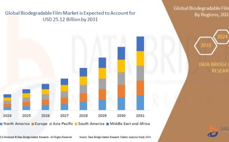 Biodegradable Film Market Overview: Trends, Challenges, and Forecast 2024 –2031