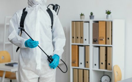 Gainesville s Best Termite Pest Control Prevention and Treatment Tips