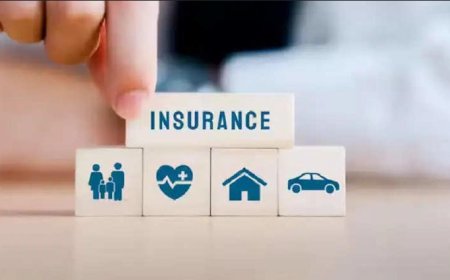 Best Insurance Policies in the USA (2024): Top Picks for Maximum Coverage