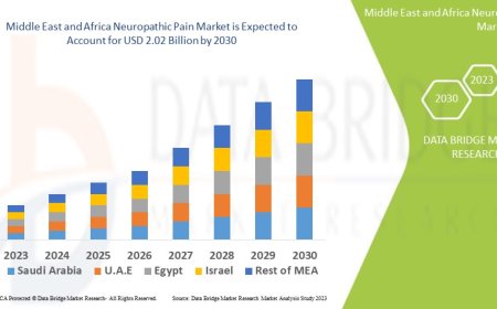 Middle East and Africa Neuropathic Pain Market  Expands as Access to Specialized Therapies Increases