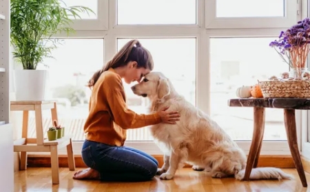 Why Your Dog Likes to Sit on You: Understanding the Behavior