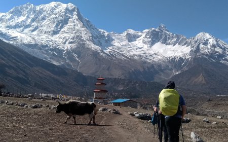 Frenzy Manaslu Trekking Guide with Proven Energy Preparation