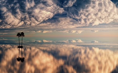 Shilajit 101: Science-Backed Benefits and How to Spot Genuine Himalayan Quality