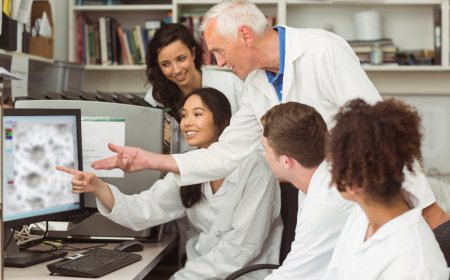 Navigating the Medical Journey: A Guide for Students and IMGs