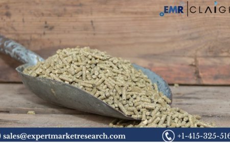 Alfalfa Pellets Market Trends, Growth & Forecast Analysis 2025–2034