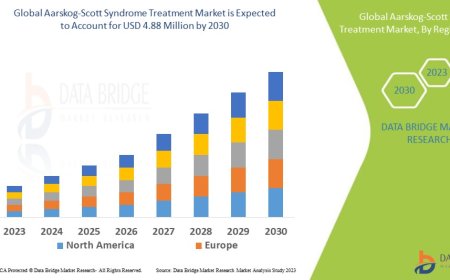 Aarskog-Scott Syndrome Treatment Global  Market: Outlook and Insights to 2025 - 2032