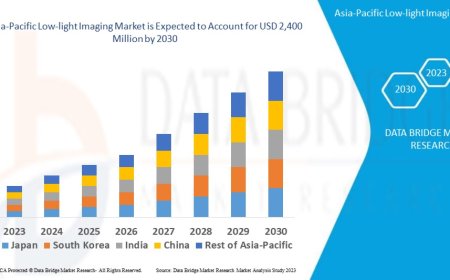 Asia-Pacific Low-light Imaging Industry: Developments and Landscape to 2025 - 2032