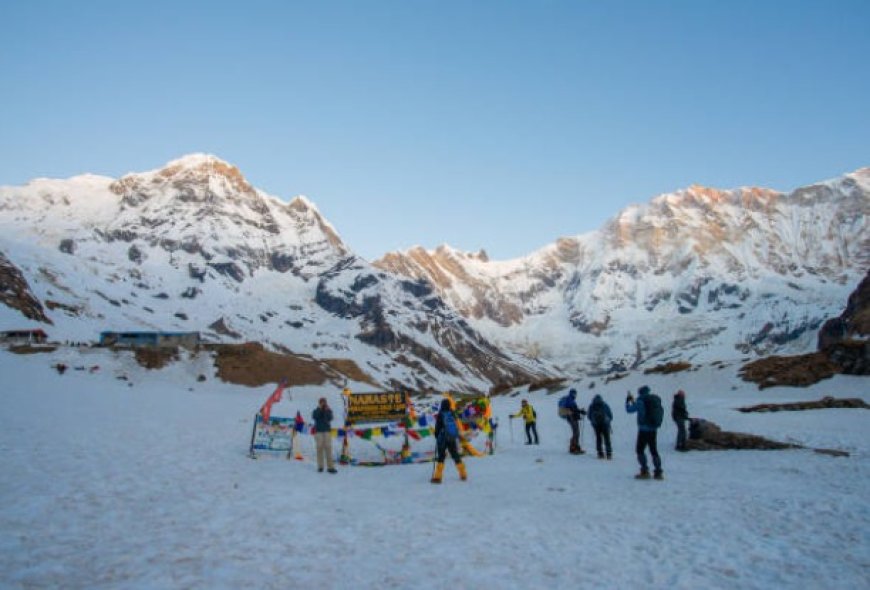 Unusual Thrilling Trekking Moments On Ghorepani Poon Hill