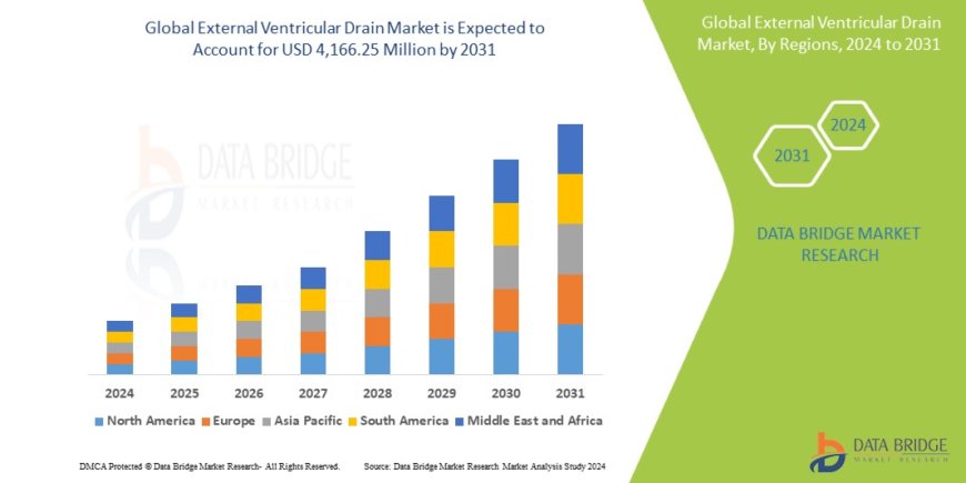External Ventricular Drain Market: Insights, Key Players, and Growth Analysis 2024 –2031
