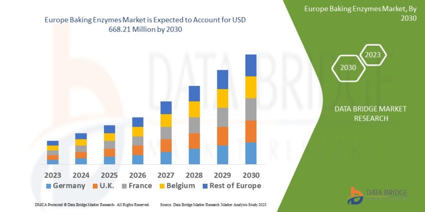 Europe Baking Enzymes Market Grows with Rising Clean Label and Functional Bakery Trends