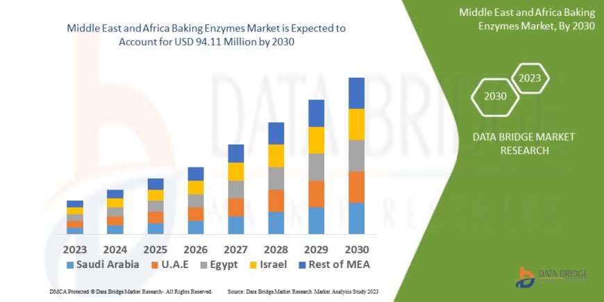Middle East and Africa Baking Enzymes Market Rises with Changing Consumer Preferences and Food Industry Growth