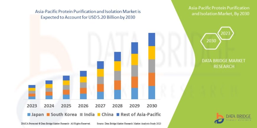 Asia-Pacific Protein Purification and Isolation Industry: Dynamics and Growth Period 2025 - 2032