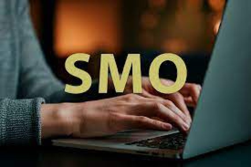 Why Social Media Optimization Is the Backbone of Digital Branding