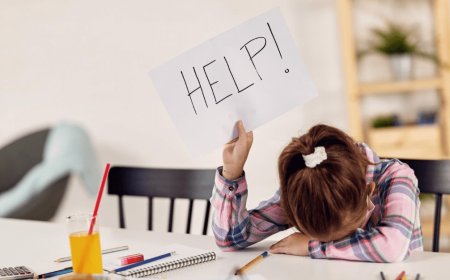 Simplifying Academic Life: The Growing Demand for Assignment Help Services