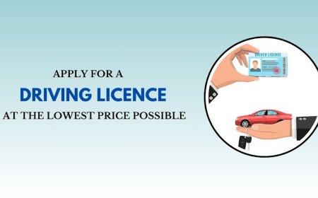 Apply for a Driving Licence at the Lowest Price Possible