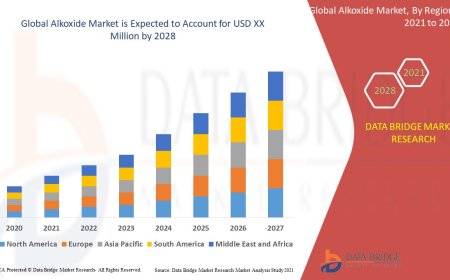 Alkoxide Sector: Trends and Outlook to 2025 - 2032