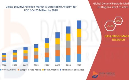 Dicumyl Peroxide Business Outlook: Analysis and Developments Forecast 2025 - 2032