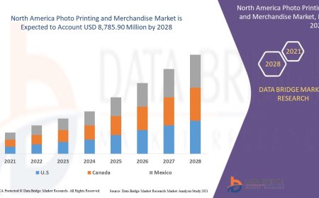 North America Photo Printing and Merchandise Business Outlook: Forecast and Developments Period 2025 - 2032