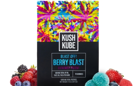 Do 10mg THC Gummies Get You High? Absolutely – Here's What to Expect