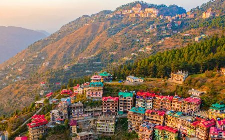 Delhi Mathura Vrindavan Agra Tour Package 2 Days | Tripspray