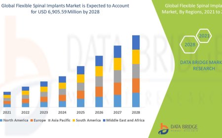 Flexible Spinal Implants Business Outlook: Growth and Developments Period 2025 - 2032