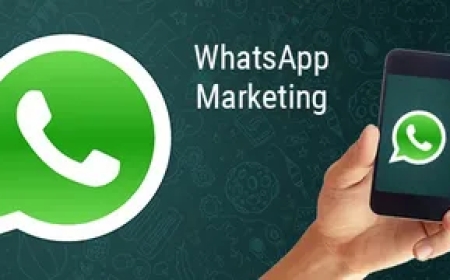Best WhatsApp Marketing Agency