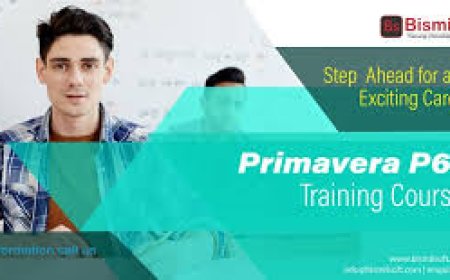 Career Opportunities After Completing Primavera P6 Online Training in India
