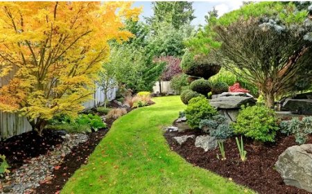 Landscaping in Manassas, VA: Bring Life to Your Outdoor Space