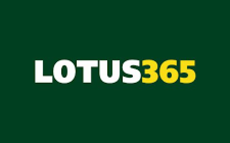 Everything You Need to Know About the Lotus365 Download App