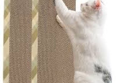 Why Every Cat Owner in the United States Needs a Cat Scratching Mat