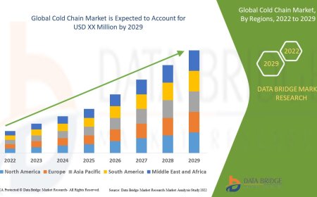 Cold Chain Market Size, Status and Industry Outlook During 2029