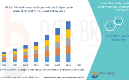 Minimally Invasive Surgery Market Size, Status and Industry Outlook During 2032