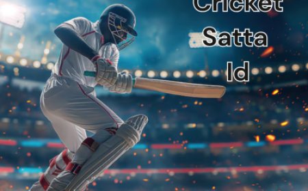 Best Online Cricket ID Providers in India