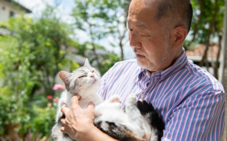 The Role Of Pets in Enhancing Senior Life