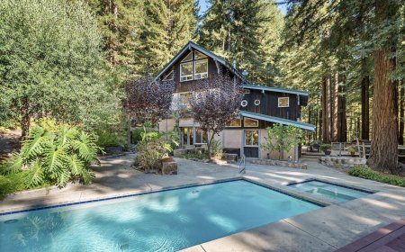 Homes for Sale in Sebastopol, CA: A Rustic and Artistic Retreat in Sonoma County