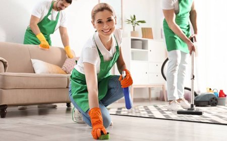 Carpet Cleaning Adelaide | Expert Cleaners Near You