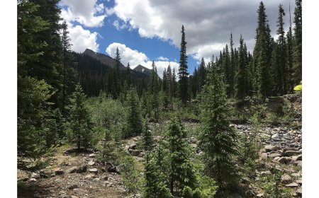 Why Colorado Real Estate is a Smart Investment