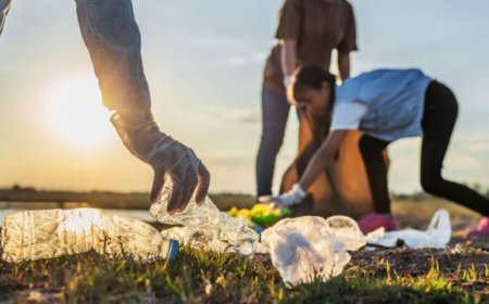 Cleaner, Greener, Smarter – The Benefits of Private Bin Collection