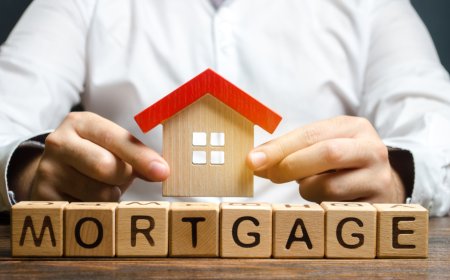 Expert Guidance for Your Property Journey: Find the Right Mortgage Advisor in Auckland & Hamilton