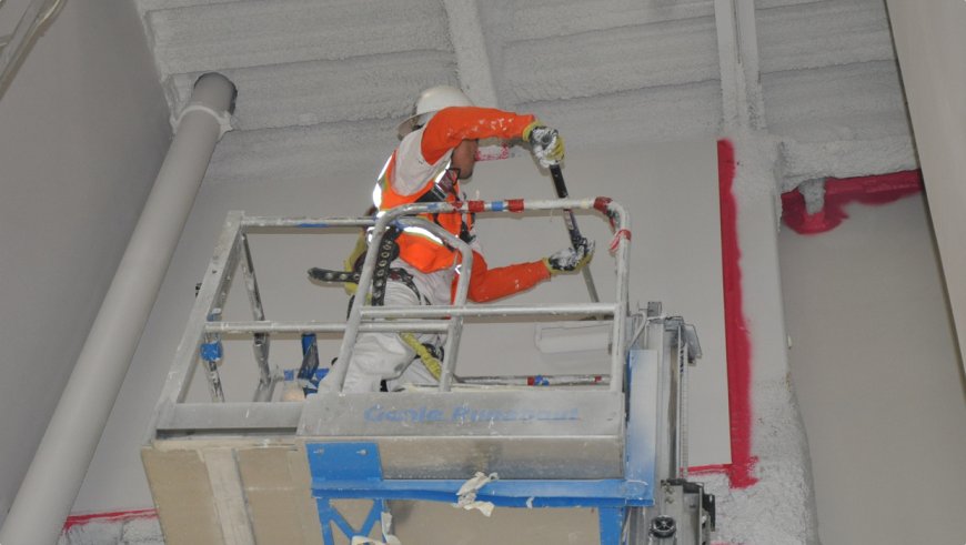 Painters Union San Jose: What Homeowners & Professionals Need to Know