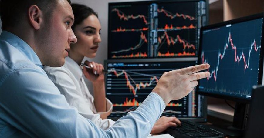 Step-by-Step Guide to Starting Your Forex Firm with MT5 Grey Label